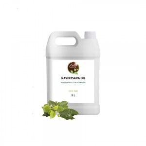 Fournisseur d'huile essentielle de Ravintsara au Maroc