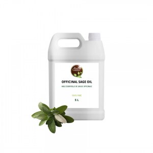 Fournisseurs d'Huile essentielle de Sauge officinale au Maroc