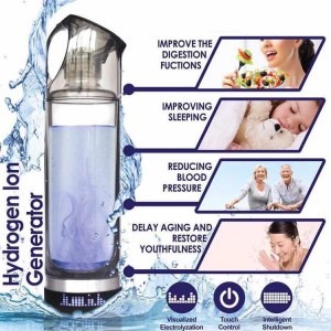 Purificateur d'eau portatif