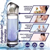 Purificateur d'eau portatif
