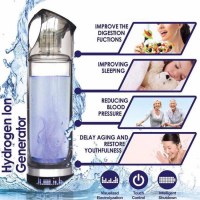 Purificateur d'eau portatif