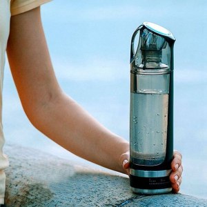 Purificateur d'eau portatif