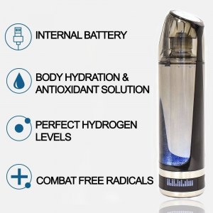 Purificateur d'eau portatif