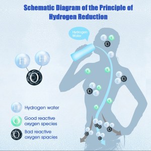 Purificateur d'eau portatif