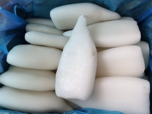 Tube de Calamar congelé destination Europe