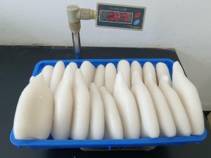 Tube de Calamar congelé destination Europe