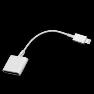 Adaptateur lightning vers 30 broches