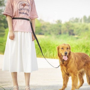 LA LAISSE DU CHIEN RÉGLABLE DOUBLE DOGGO-05