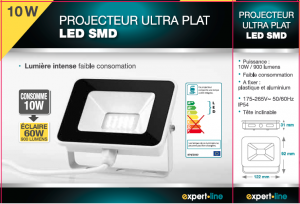 PROJECTEUR LED ULTRA PLAT 10 W - 900 lumens (ref 422)