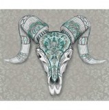 Lithographie tête de Buffle gris