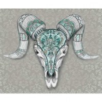 Lithographie tête de Buffle gris