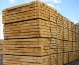 Vente bois en grumes et en avivés bon prix