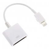 Adaptateur Lightning Vers 30-Pin pour iPhone 5, iPad Mini et iTouch 5
