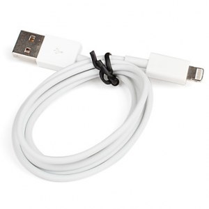 Cable Data Sync et Charge de foudre plat pour iPhone 5 (blanc, 100cm)