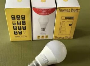 Ampoules LED 4 modeles E27 / E14 / GU10 / B22