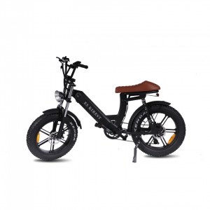 Grossiste Kirest vente en gros lot de vélo électrique E5 KIREST
