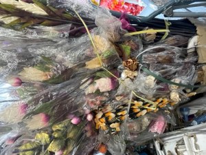 Plantes et fleurs artificielles - Bouquets, Plante plastique.