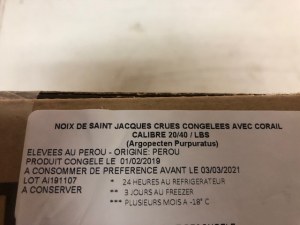 Noix de St Jacques SURGELEES