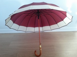 Lot parapluies 16 baleines