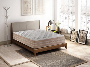 Matelas 19 Evolution Memory® Livré