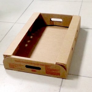 Plateau en carton ondulé