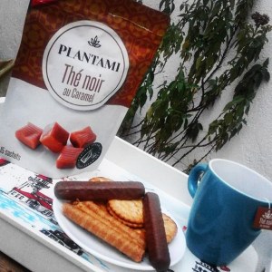 Destockage thés & plantes premium