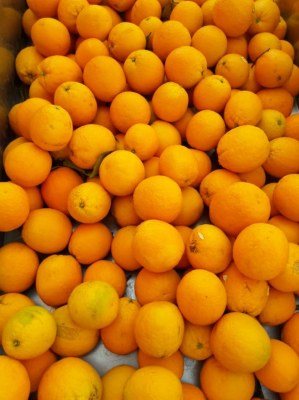 Orange Late Maroc