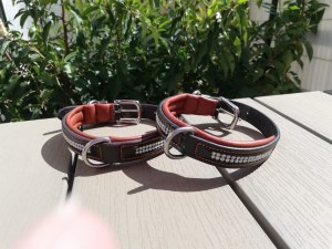 Lot de colliers pour chiens en cuir haut de gamme