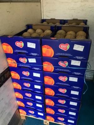 Palette de tomate et pastèque