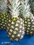 Palette ananas provenance côte d'Ivoire