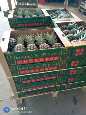 Palette ananas provenance côte d'Ivoire
