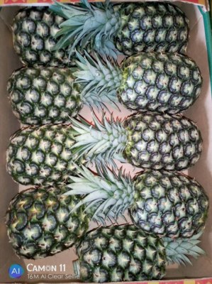 Palette ananas provenance côte d'Ivoire