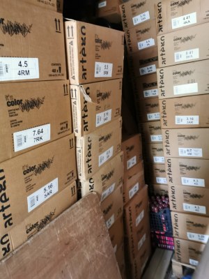 Coloration ARTEGO its color 150 ml