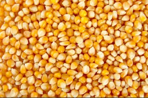 FOURNISSEURS DE DE MATIERES PREMIERES AGRICOLES