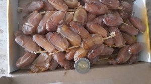 Dattes d'Algérie