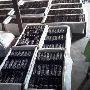 Vanille seche et extrait de vanille a bon prix