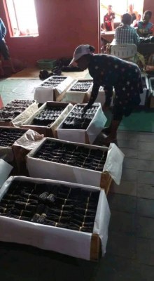 Vanille seche et extrait de vanille a bon prix