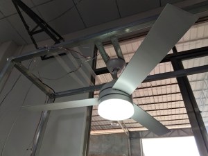 Lot de ventilateur de plafond