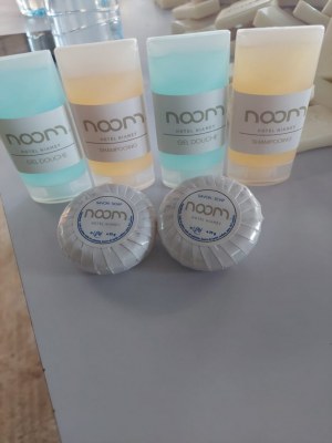 Shanpooing savons et gel de douche pour les hôtels et appartements meublé