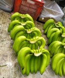 Banane en stock