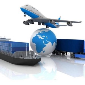 Noix de coco Noix de cajou ananas avocats mangue sésame arachides décortiquer