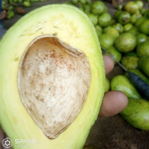 Noix de cajou ananas avocats mangue sésame arachides décortiquer