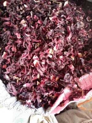 Bissap rouge,Noix de coco Noix de cajou ananas avocats mangue sésame arachides décortiq...