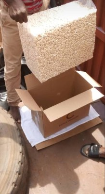 Noix de cajou ananas avocats mangue sésame arachides décortiquer