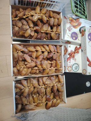 Dattes Deglet Nour Algérie Nouvelle Récolte