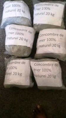 Concombre de mer disponible