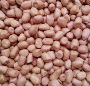 Banane ananas mangue avocat arachides