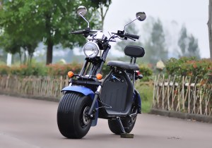 CITY COCO HOMOLOGUE ROUTE 2 PLACES