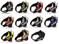 Julius K9 idc power neuf