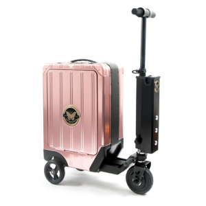 Lot de valises trottinettes électriques neuves